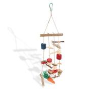 Toyvian Mâcher Suspendu pour Hamster Accessoires Amusants pour Rongeurs de Pomme et Balle Herbe pour Dentaire et des Petits Animaux Couleur Aléatoire