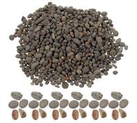 Toyvian Mini Pierres Décoratives Naturelles de Rivière 50g pour Aquarium, Micro-Paysage et Décor de Vase, Galets Lisses pour Aménagement Paysager et Bricolage Aquatique