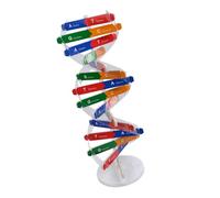 Toyvian Modèle Adn Double Hélice à Monter Kit DIY Scientifique Éducatif pour Garçon Fille Construction Biologie Enseignement Couleur Aléatoire Couleur Aléatoire