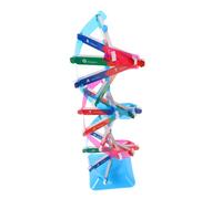 Toyvian Modèle Double Éducatif avec Kit Interactif Dassemblage pour Enseignement Génétique Adapté à Tous et Expos Scientifiques