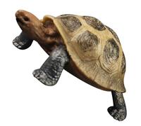 Toyvian Modèle Tortue Terrestre Plastique Réaliste PVC Figurine pour Décoration Maison et Jardin Educatif pour Garçon Fille