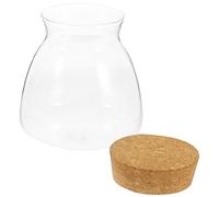 Toyvian Ornements De Bouteilles Écologiques Plantes Aquatiques Écosystème Réservoir Petite Pêche à Poisson Pot De Plantation d'eau Terrarium Hydroponique Terrarium Paysager Usine Un Verre