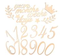 Toyvian Panneau Annonce de Naissance Bois Carte pour Mois de Décorations de Shower de Disques Panneaux de Croissance Né