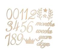 Toyvian Panneaux Annonce De Naissance Pour Cartes De Naissance Calendrier Mensuel De Cartes Décoration De Fête Prénatale