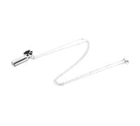 Toyvian Pendentif Urne Commémoratif pour Animaux Collier avec De Chien pour Bijoux Mémoriaux pour Rappel Un Animal