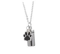 Toyvian Pendentif Urne Funéraire pour Animaux de Compagnie Acier Inoxydable Collier de Mémoire pour Cendres Poils de Souvenir Élégant
