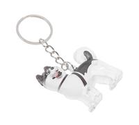 Toyvian Pet Hair Commemorative Box Transparent Capsule Dog Hair Keepsake Pendant Keychain Stylish Memorial Display for