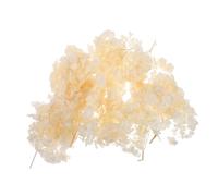 Toyvian Pétales D'Hortensia Immortels Fleurs D'Hortensia Séchées Bouquet De Fleurs Pétales De Séchées pour Mariage Centre De Table Fournitures D'Arrangement