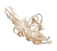 Toyvian Pince à Cheveux Pince à Sushi Barrettes à Cheveux Coiffe De Danse à Arrière Tête Boule Coiffe De Ballet Pour Fille à Arrière Tête