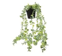 Toyvian Plante Suspendue Pot Décoration Murale Éucalyptus Fausse pour Intérieur pour Étagères Chambres