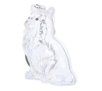 Toyvian Porte-clés Boîte Transparente pour Poils de Chat Capsule de Rangement avec Couvercle pour Souvenirs et Mémorial Animalier Boîte Pratique et Légère pour Collection de Poils de Chat