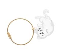 Toyvian Porte-clés Chat Transparent Capsule Rangement Poils Animal Compact Accessoire Souvenir Mémoire Pet Hair Keepsake Keyring