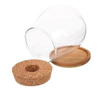 Toyvian Pot De Fleurs Verre Contenant pour Plantes Mousse Pots De Propagation Station De Propagation De Bureau Jardinière Verre De Table Vase à Fleurs Transparent Station De De Plantes