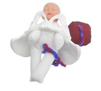 Toyvian Simulateur de processus d'accouchement avec bassin en PVC, fœtus, cordon ombilical et placenta, modèle pour étudiants en maternité et cours prénataux