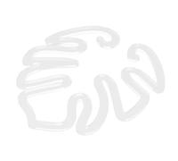 Toyvian Support de Tige de Plante Fixateur de Fleurs Réutilisable pour Plantes Hydroponiques pour Fleurs Légumes et à Humidité et Durable