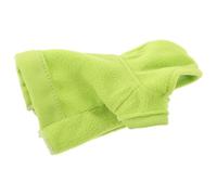 Toyvian Sweat à Capuche en Polaire Vert pour Lézard et Caméléon, Costume Facile à Porter Protection Peau, pour Aventures en Extérieur et Séances Photo