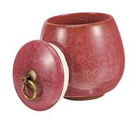 Toyvian Urne Funéraire pour Animaux Céramique Urne pour Cendres de Chat Boîte Commémorative Sécurisée Souvenir Durable avec Couvercle Vis pour Préserver Mémoire de Votre