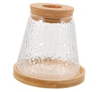 Toyvian Vase à Germination Avocat Verre Kit De Culture Avocat Support De Plantes Décoratif pour Intérieur