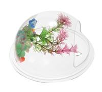 Toyvian Vase Hydroponique Mural Transparent Acrylique Durable Bocal à Poisson Décoratif Compact pour Chambre et Salon Support Mural Gain de Place pour Plantes et