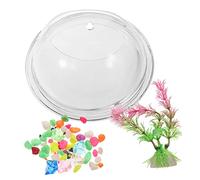 Toyvian Vase Hydroponique Transparent Murale pour Plantes et Décoration Intérieur Conteneur Créatif et Élégant Style Aléatoire