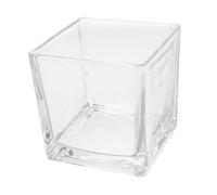 Toyvian Vase Verre Carré Transparent pour Plantes Hydroponiques Décor Floral Moderne Pot Cube Épais pour Table Et Maison