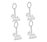 TOYZFRIENDY 4 Pièces Boîte Transparente pour Poils Danimaux Porte Clés pour Collection Sécurisée Pendentif Souvenir pour Lien Émotionnel avec Chien