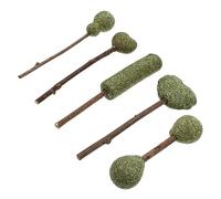 TOYZFRIENDY 5 pièces Bâtonnets Naturels de Cataire pour Sucettes à Mâcher Au Snacks Mâchables pour Dents et Interaction Chat et Facile à