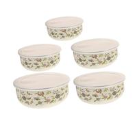 TOYZFRIENDY 5 Pièces Set de Bols Émail avec Couvercles Bols de Stockage Réutilisables pour Fruits Salades et Cuisine pour Réfrigération et Congélation