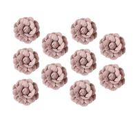TOYZFRIENDY Accessoires Vestimentaires Floraux 10 Pcs, Camélias Microfibre Diy, Couleur Rose Corail, Décorations Fleurs Cuir, Accessoires Coiffure Fille pour Vêtements et Broches