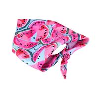 TOYZFRIENDY Collier Foulard pour Chien Motif Pastèque Bandana Triangulaire S pour Petits et Moyens Chiens Protection Salive et Style Quotidien Couleur Rose