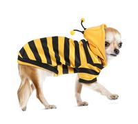 TOYZFRIENDY Costume Abeille pour Chats et Petits Chiens XL Sweat à Capuche Chaud Tissu Doux avec Doublure Polaire Fine Vêtement Hiver Confortable pour Animaux Halloween et Sorties