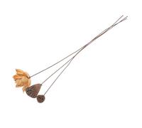 TOYZFRIENDY Dried Lotus Flower Arrangement with Stems Zen Garden Decor Chinese Style Floral Centerpiece for Home Wedding and Table Decoration