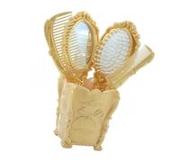 TOYZFRIENDY Ensemble De Peignes Antistatiques Miroir, Peigne De Massage Du Cuir Chevelu Portable, Set De Coiffure Professionnel Unisexe, Usage Salon Et Voyage, Boîte Pvc Rigide Dorée