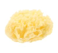 TOYZFRIENDY Éponge Exfoliante Naturelle Corps Boule 7-8 Cm Mini Lot Épaisse Mousse Génératrice Usage Bain Bain Nettoyage Profond Peau Visage Cou Jambes Adultes Garçon et Filles Bébé