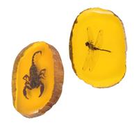 TOYZFRIENDY Lot de 2 Pendentifs en Résine Ambre Insectes Accessoires Bijoux DIY Boucles D’Oreilles Pendantes Création Colliers et Bracelets Artisanaux