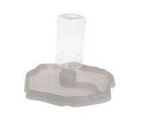 TOYZFRIENDY pour Lézard Récipient Alimentation en Abs Solide Abreuvoir Automatique pour Tortue et Reptile 1 Pièce pour Petits Animaux Couleur Lumineuse