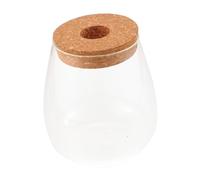 TOYZFRIENDY Terrarium Verre pour Plantes Micro-Paysage Bouteille Jardinière Hydroponique De Bureau Contenant pour Plantes Bouteille pour Micro-Paysage DIY