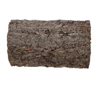 TOYZFRIENDY Tronc d'arbre Creux Naturel en Bois pour Reptiles Cachette pour Lézards Geckos Léopards et Tortues Décoration Réaliste pour Terrarium Refuge Sécurisé et Entretien Facile 1 Pièce