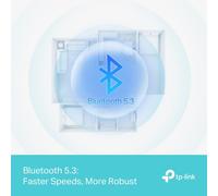 TP-LINK Bluetooth 5.3 Long Range USB Adapter