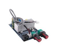 Tpa3116 Carte Amplificateur de Subwoofer 100 W Sortie Basse Dc12-24V Petits Amplificateurs de Puissance Numériques Accessoires Audio Vidéo