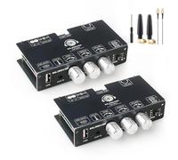 TPA3116D2 Lot de 2 amplificateurs Bluetooth 5.3 mono 100 W, module d'ampli de puissance numérique TPA3116D2, compatible TWS sans fil, entrée AUX/USB/Bluetooth, entrée large tension DC 12-24 V, pour