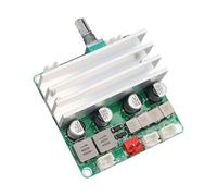 TPA3116D2 Module amplificateur de caisson de basses double canal 50 W x 2 + 100 W avec carte amplificateur de dissipation de chaleur efficace
