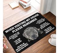 TPDODON Lorsque Vous visitez ma Maison n'oubliez Pas Le paillasson antidérapant pour Chien Le Tapis de Bain la Cuisine Le Jardin Le Garage la Porte d'entrée Le tapis-20x32 inch