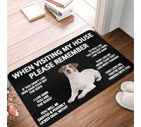TPDODON Lorsque Vous visitez ma Maison n'oubliez Pas Les Citations sur Les Chiens 22 Tapis d'entrée de Sol de Porte d'entrée Paillasson de Cuisine extérieur Tapis de Jardin Tapis-20x32 inch