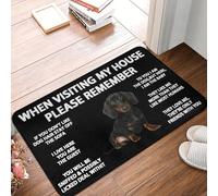 TPDODON Lorsque Vous visitez ma Maison n'oubliez Pas Les Tapis de Sol de Cuisine de Porte antidérapants d'intérieur d'entrée de Jardin de Citations sur Les chiens-20x32 inch