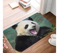 TPDODON Paillasson Panda géant Mignon antidérapant Amoureux des Animaux pour Cuisine Salle de Bain Chambre à coucher-16x24 inch