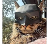 TPFOON Masque De Chat Clown Héros, Forme De Tête Grande De Chauve-Souris Noire - Pour Chats, Adapté à Halloween & Anniversaires D'animaux De Compagnie, Chapeau De Chauve-Souris-Chat