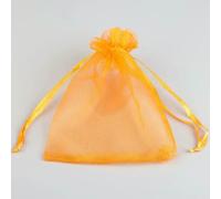 TPIONEER Lot de 100 Sacs de Protection pour Fruits et légumes, pour Fraises, Raisins, vergers, légumes, Lutte antiparasitaire, Anti-Oiseaux