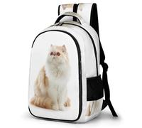 TPISLI Sac Enfant École Voituretable Chat Persan Primaire Voituretable Animal Chaton Fille 10 Ans 12 Ans Ce2 Primaire Sac CE1 Fille Sac Garcon Voituretable CE2 Sac Garcon Personnalisé