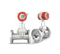 TPKMVGAP Débitmètre de gaz Naturel DN20/25/32/40/50 Débitmètre à Vortex de précession Affichage LCD 4-20 mA(DN50(SS304-ATEX))